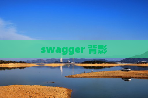 swagger 背影